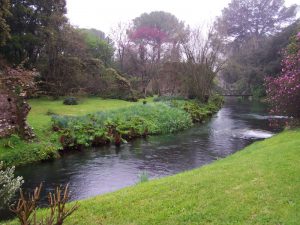 Ricerca benessere pace interiore